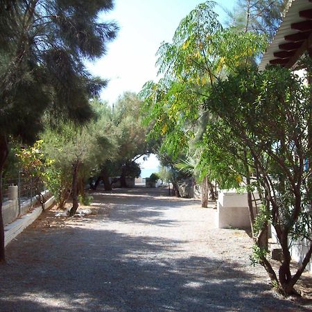 Oasis Studios Psili Ammos  Dış mekan fotoğraf
