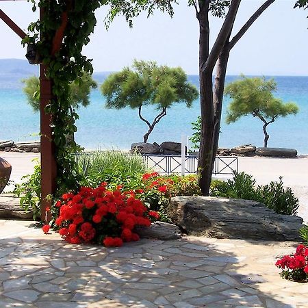 Oasis Studios Psili Ammos  Oda fotoğraf