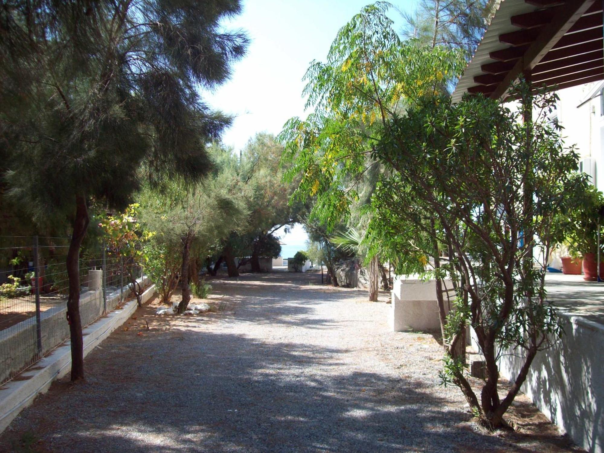 Oasis Studios Psili Ammos  Dış mekan fotoğraf