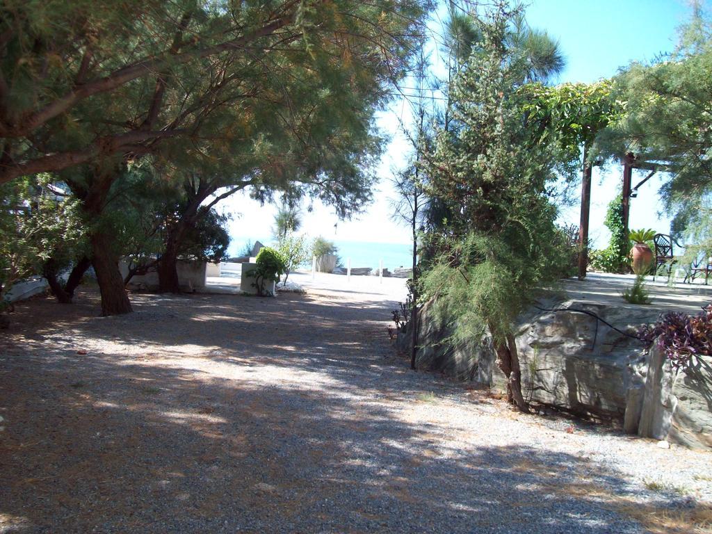 Oasis Studios Psili Ammos  Dış mekan fotoğraf