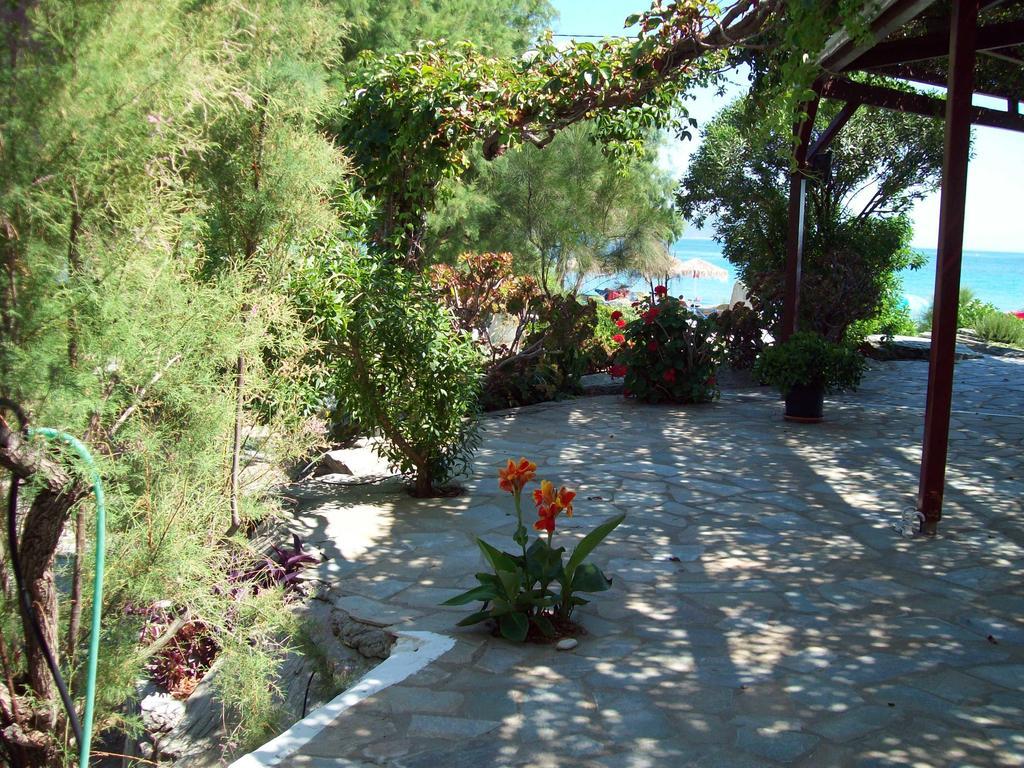 Oasis Studios Psili Ammos  Dış mekan fotoğraf