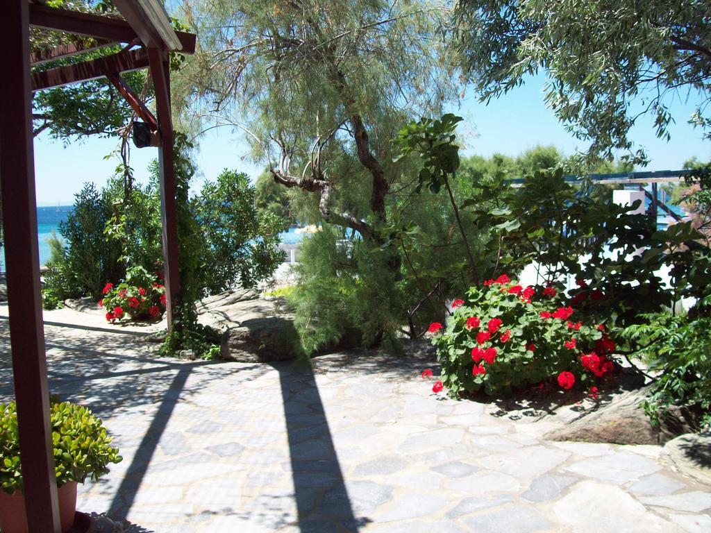 Oasis Studios Psili Ammos  Dış mekan fotoğraf