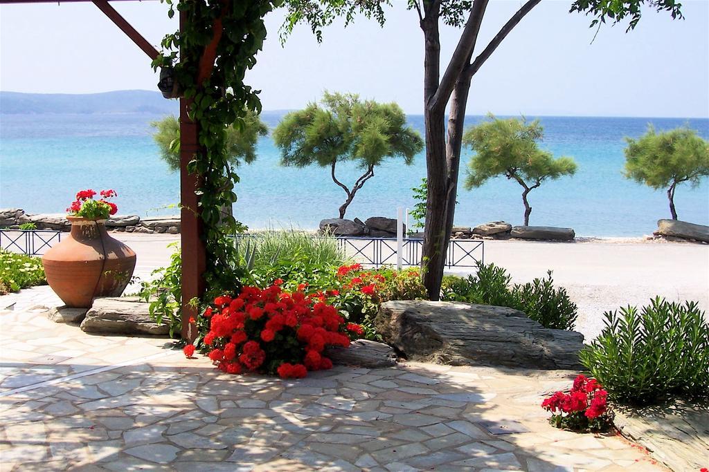 Oasis Studios Psili Ammos  Oda fotoğraf